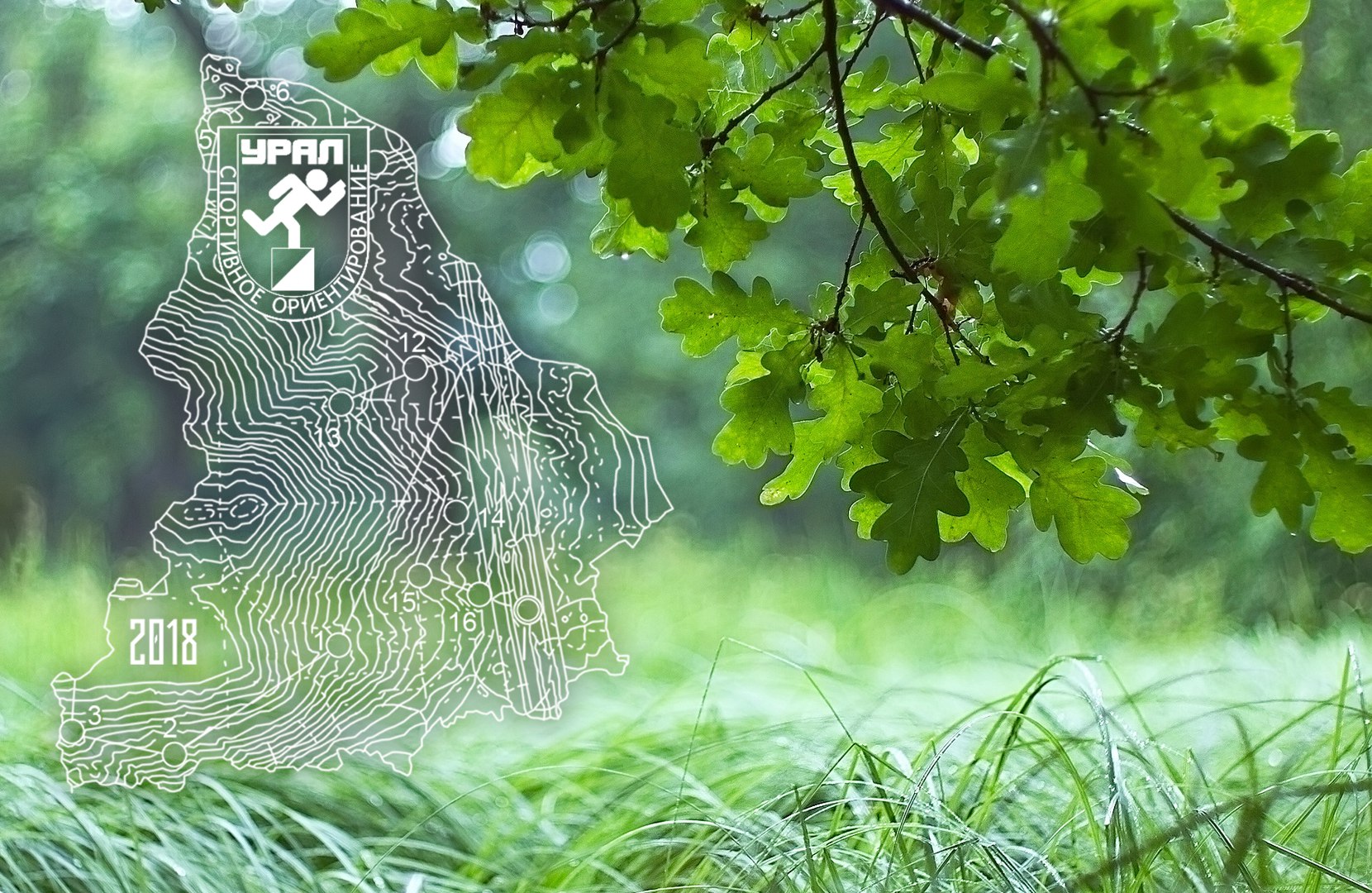 Макушка лета ориентирование. Урал спортивное ориентирование 2022. Макушка лета ориентирование карта. Макушка лета ориентирование 2022